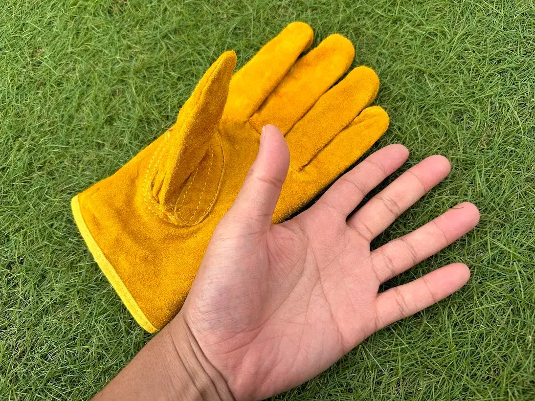 キャンプグローブ サイズで選ぶ
